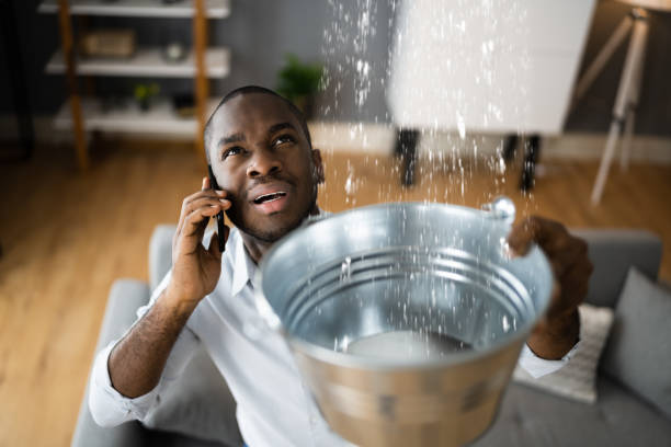 Best Water damage restoration insurance claims  in Smithers, WV
