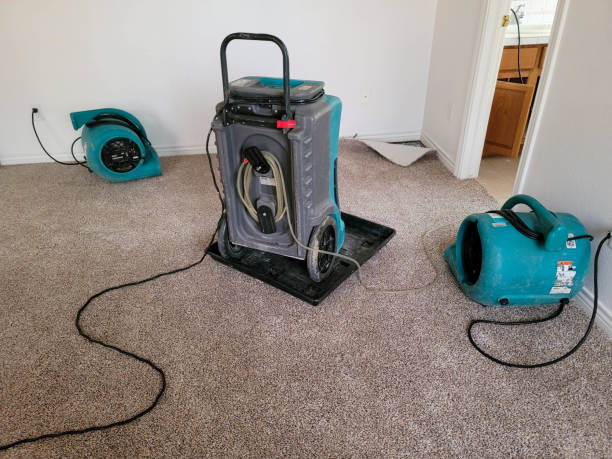 Best Sewage cleanup and water damage restoration  in Smithers, WV