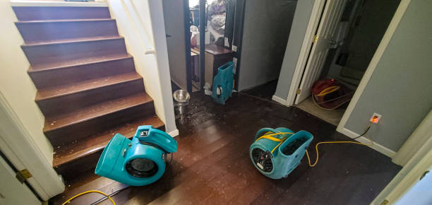 Best Sewage cleanup and water damage restoration  in Smithers, WV