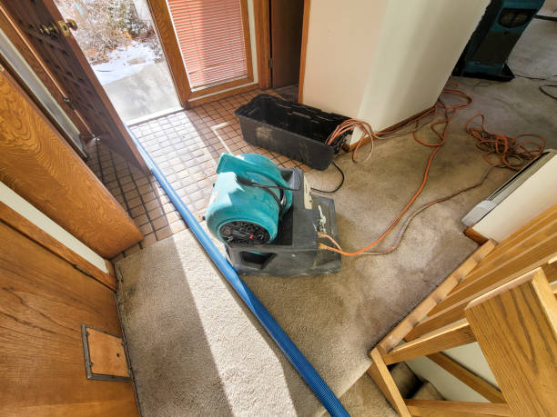 Best Professional water damage repair  in Smithers, WV