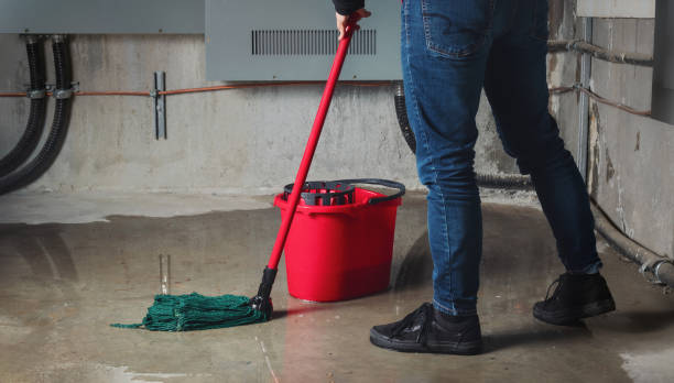 Best Flooded house restoration  in Smithers, WV