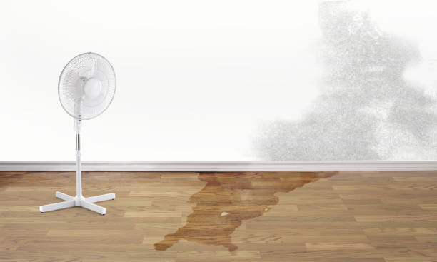 Best Flood damage cleanup  in Smithers, WV