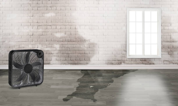 Best Water damage restoration company  in Smithers, WV