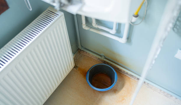 Best Water damage restoration mold remediation  in Smithers, WV