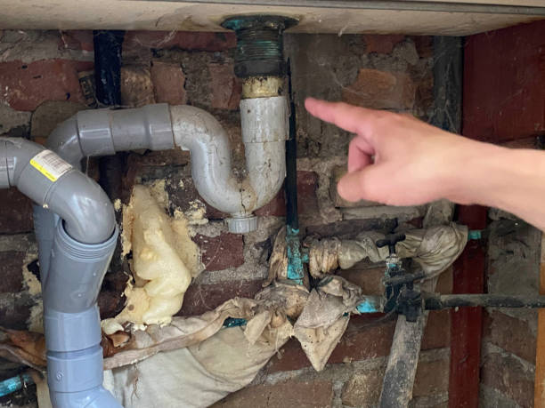 Best Fire Damage Restoration  in Smithers, WV