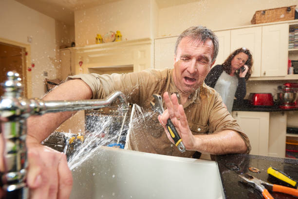 Best Water damage restoration mold remediation  in Smithers, WV
